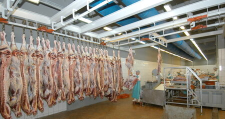 Дезинсекция на мясокомбинате в Ступино, цены на услуги